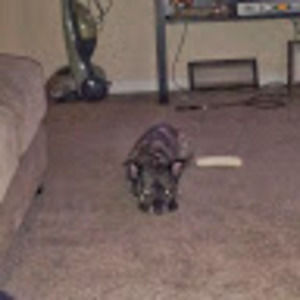 Meet your Posher, Danielle